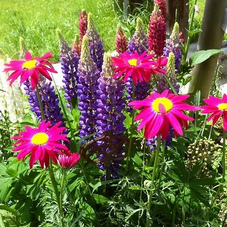 Bed & Breakfast Hubengut 2*