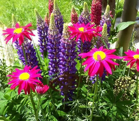 Bed & Breakfast Hubengut 3*